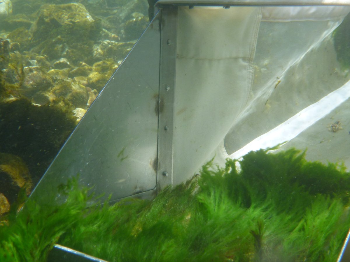 Études sur les milieux aquatiques