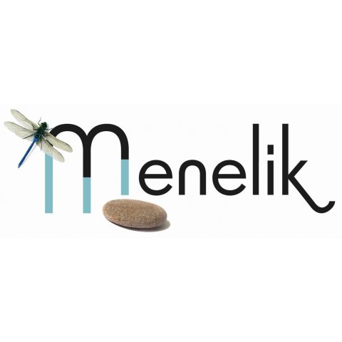 logo epage Menelik