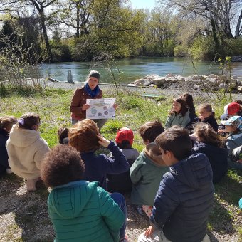 Médiation scientifique - dispositifs scolaires