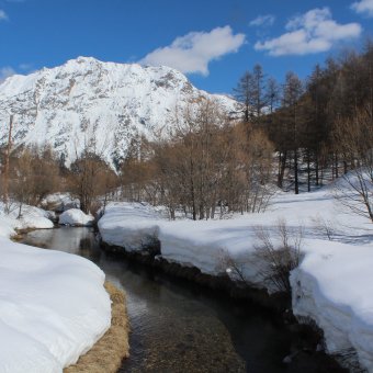 Recherche - Adous de Névache sous la neige