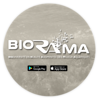 BIORAMA - Biodiversité en réalité augmentée des milieux aquatiques