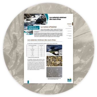 Fiches Habitat et Biodiversité