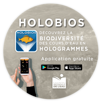 HOLOBIOS - Découvrez la biodiversité des cours d'eau en hologrammes