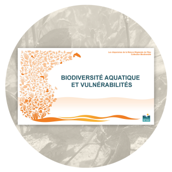 Diaporama biodiversité