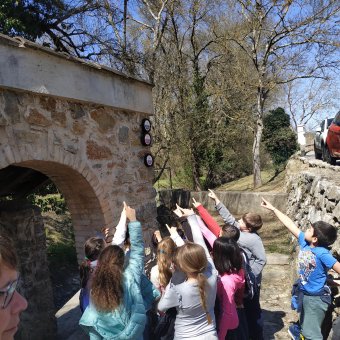Dispositif scolaire sur le risque inondation