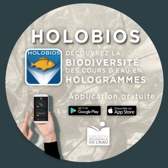 Application holobios