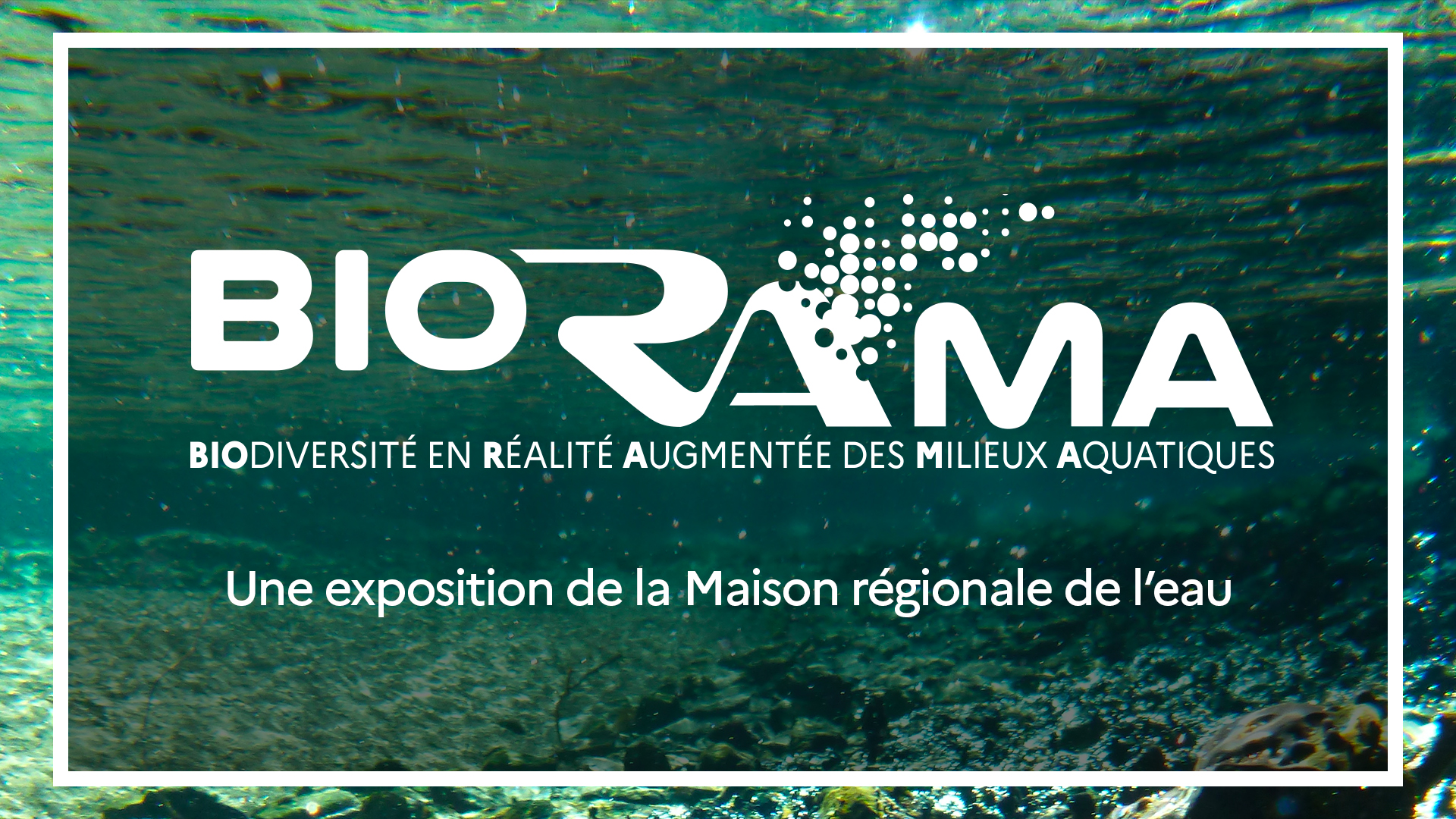 Samedi 10 février à Draguignan : Inauguration de notre exposition BioRAma!